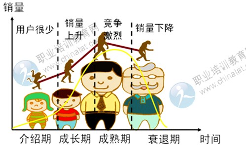 2014年中級經濟師考試工商管理專業精講:產品策略