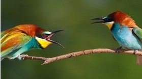 解讀一個已婚男人的“資產負債表”