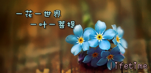 實務熱點一問一答之小微企業篇（一）