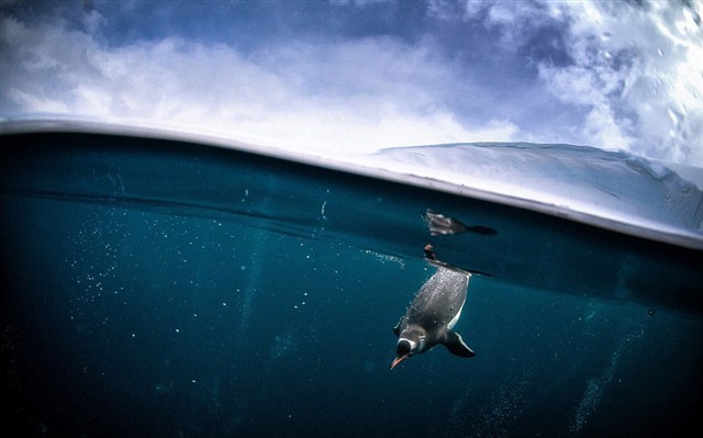 實務(wù)熱點你問我答之小微企業(yè)篇（四）