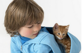 選擇企業會計軟件時要慎重