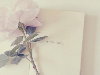 企業合理節稅避稅小妙招【匯總二】