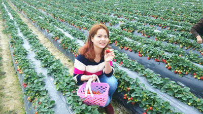 我是小會(huì)計(jì):8年拿下“三個(gè)證書 兩個(gè)學(xué)歷”