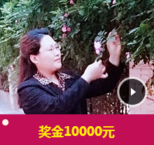 如何在三個月內通過稅務師考試 你用盡洪荒之力嗎?