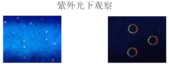 值得收藏 增值稅專用發別鑒別方法