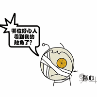 2016年稅務師考試成績查詢后