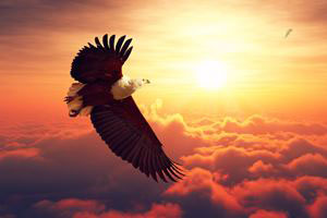 三年收獲稅務師、注冊會計師 其實你也可以