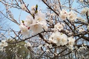 資產評估考試報名都需要哪些條件?