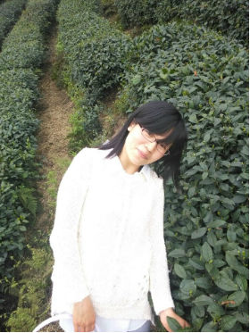 一次性全科通過稅務師考試