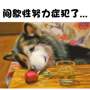 備考中級會計職稱犯了“間歇性努力癥” 我幫你治!