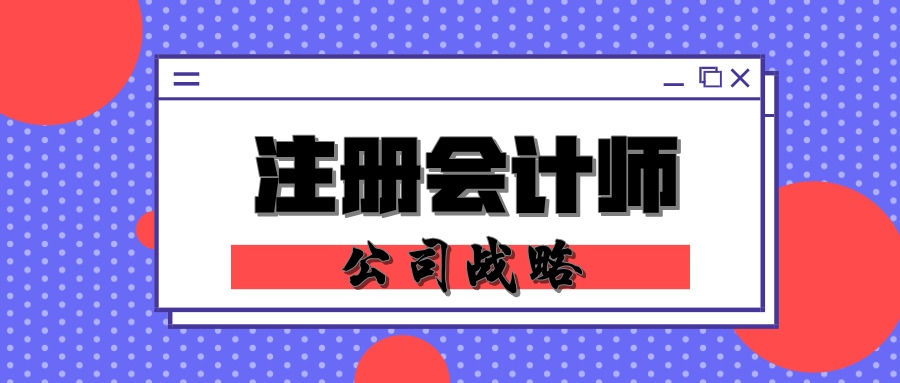 注冊會計師公司戰略練習題