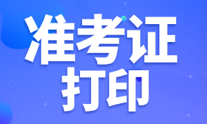 稅務(wù)師準(zhǔn)考證打印1 稅務(wù)師準(zhǔn)考證打印1