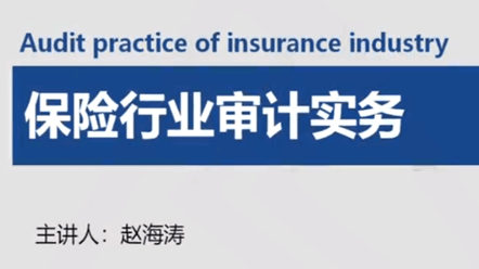 保險行業審計實務