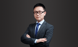 陸沛沛《全球戰略與領導力》