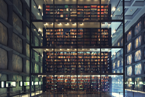 疫情之下,逆風自救的餐飲人 疫情之下,逆風自救的餐飲人