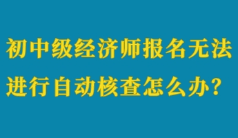初中級經濟師報名無法進行自動核查怎么辦？