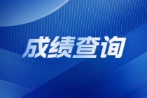國際注冊內部審計師查分入口是什么？