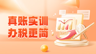 真賬實訓(xùn),辦稅更簡